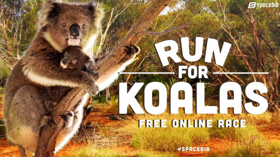 Run For Koalas Free Online Race 2020