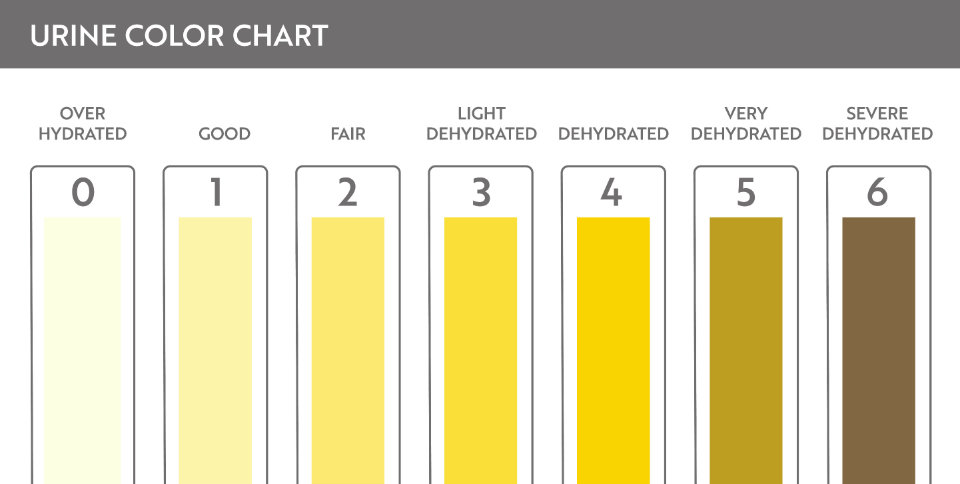 How To Know How Much Water Do I Need To Drink Daily?