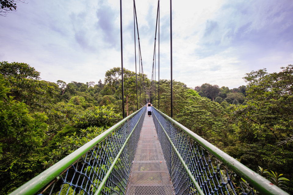 Singapore's Best Nature Parks and Greenery Spots for Runners