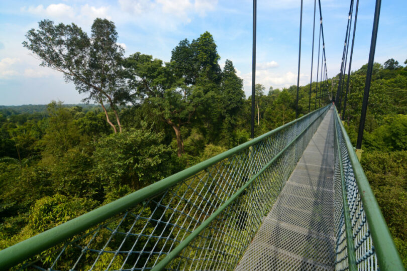 Singapore City in Nature Challenge